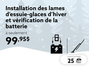 Soyez prêt pour l'hiver avec un démarrage fiable et une vision parfaite