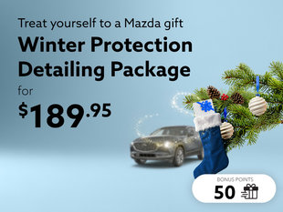 Take advantage of the Winter Protection detailing package