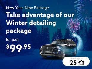 Take advantage of the Winter detailing package