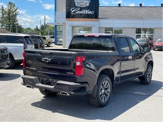 2024 Chevrolet Silverado 1500 in Joliette, Quebec - 4 - w320h240px