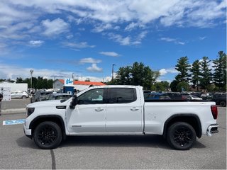 2024 GMC Sierra 1500 in Joliette, Quebec - 3 - w320h240px