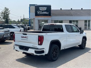 2025 GMC Sierra 1500 in Joliette, Quebec - 4 - w320h240px