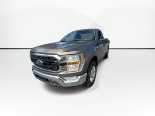 2021 Ford F-150 XLT Reg Cab | 4X4 | Cam | USB in Saint John, New Brunswick - 4 - w320h240px