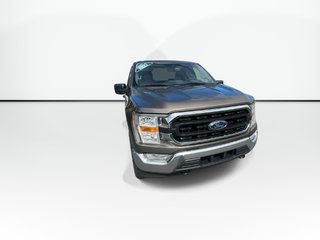 2021 Ford F-150 XLT Reg Cab | 4X4 | Cam | USB in Saint John, New Brunswick - 3 - w320h240px