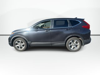 2019 Honda CR-V in Antigonish, Nova Scotia - 5 - w320h240px