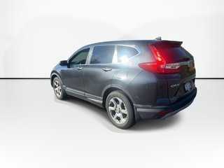2019 Honda CR-V in Antigonish, Nova Scotia - 6 - w320h240px