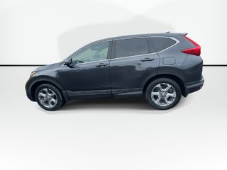 2019 Honda CR-V EX | Roof | Cam | USB | Htd Seats in Saint John, New Brunswick - 5 - w320h240px