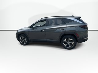 2022 Hyundai Tucson Hybrid Luxury | Roof | Cam | Nav | USB in Saint John, New Brunswick - 6 - w320h240px
