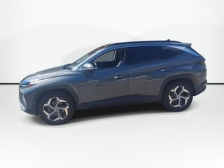 2022 Hyundai Tucson Hybrid Luxury | Roof | Cam | Nav | USB in Saint John, New Brunswick - 4 - w320h240px