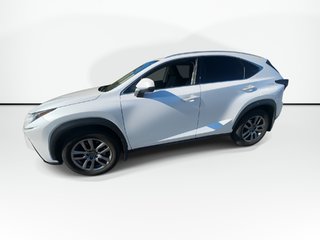 2018 Lexus NX 300 | Leather | Roof | Cam | Htd Wheel in Saint John, New Brunswick - 5 - w320h240px