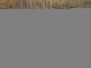 2023 Subaru Outback Onyx | Roof | Cam | Warranty till 2027 in Saint John, New Brunswick - 4 - w320h240px