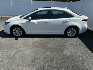2020 Toyota Corolla XLE | SunRoof | Leather | Cam | HtdSeat | USB in Saint John, New Brunswick - 6 - w320h240px
