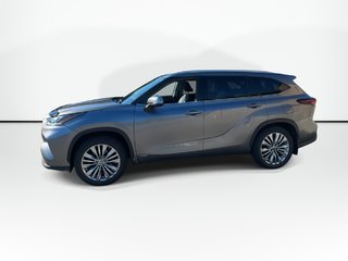 2025 Toyota Highlander Hybrid Platinum | Roof | Cam |  Warranty to 2030 in Saint John, New Brunswick - 5 - w320h240px