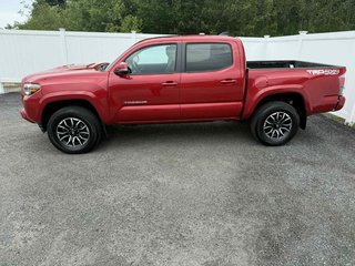 Toyota TACOMA DBL CAB TRD SPORT Leather | Roof | Nav | Warranty to 2029 2023 à Saint John, Nouveau-Brunswick - 6 - w320h240px