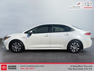2021 Toyota Corolla Hybrid in Moncton, New Brunswick - 5 - w320h240px