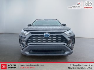 Toyota RAV4 Hybrid XLE 2023 à Moncton, Nouveau-Brunswick - 2 - w320h240px