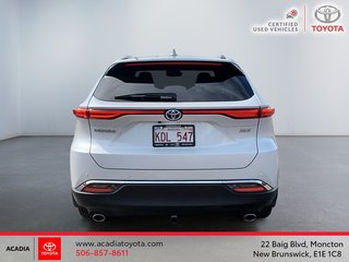 2023 Toyota Venza XLE in Moncton, New Brunswick - 3 - w320h240px