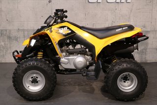 Can-Am DS250  2019