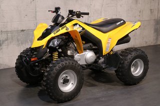Can-Am DS250  2019