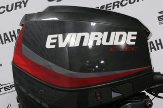 Evinrude 115 HP ( 2 TEMPS ) TILLER X-LONG (25 POUCES) 2017