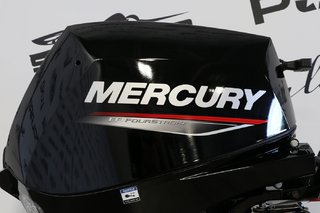 Mercury 15EH À DÉMARREUR ÉLÈCTRIQUE 2026