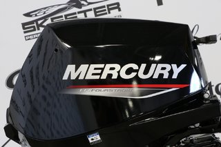 Mercury 15ELH À DÉMARREUR ÉLECTRIQUE, LONG (20 POUCES) 2025