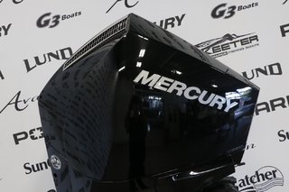 Mercury 200L DTS  2022