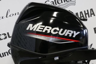 Mercury 25ELPT LONG (20 POUCES) 2025