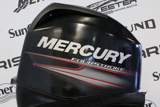 Mercury 50ELPT BIG FOOT DÉMARREUR ÉLÈCTRIQUE, LONG (20 POUCES) 2012