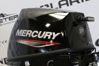 Mercury 8EH CARB. COURT (15 POUCES) ENR. 2024