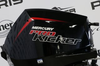 Mercury 9.9ELPT CT PK EFI À DÉMARREUR ÉLÈCTRIQUE, LONG (20 POUCES) 2025