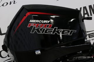 Mercury 9.9EXLHPT PK EFI LONG (25 POUCES) ENR. 2024