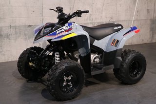 2025 Polaris Phoenix 200