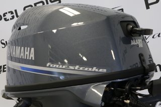 Yamaha F25SWHC COURT (15 POUCES) 2024