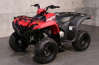 2025 Yamaha GRIZZLY 110