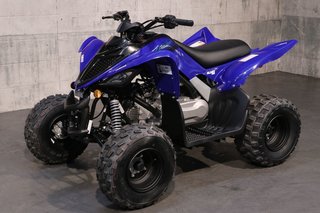 Yamaha RAPTOR 110  2025