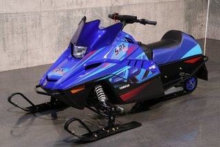 2025 Yamaha SRX120R