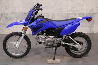 2024 Yamaha TT-R110