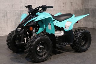 2025 Yamaha YFZ50
