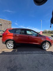 Ford Escape SE 2019 à Moncton, Nouveau-Brunswick - 6 - w320h240px