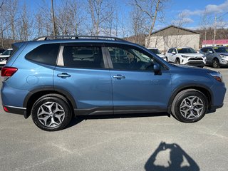 2019  Forester Convenience in Campbellton, New Brunswick - 5 - w320h240px