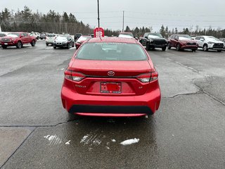 Toyota Corolla  2020 à Fredericton, Nouveau-Brunswick - 6 - w320h240px
