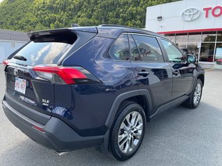 RAV4 XLE 2021 à Campbellton, Nouveau-Brunswick - 5 - w320h240px