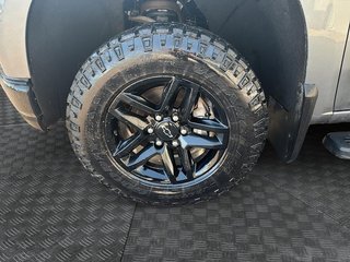 2022 Chevrolet Silverado 1500 LTD Custom Trail Boss