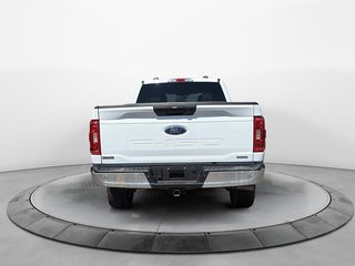 Ford F-150  2022 à Baie-Comeau, Québec - 3 - w320h240px