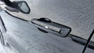 Chevrolet Blazer EV  2024 à Mont-Laurier, Québec - 15 - w320h240px