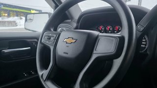 2022 Chevrolet Silverado 1500 in Mont-Laurier, Quebec - 19 - w320h240px