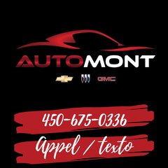 2022 Chevrolet Silverado 1500 in Mont-Laurier, Quebec - 17 - w320h240px