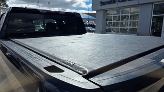 Chevrolet Silverado 1500  2022 à Mont-Laurier, Québec - 13 - w320h240px