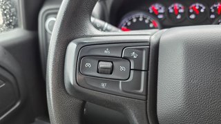 2022 Chevrolet Silverado 1500 in Mont-Laurier, Quebec - 25 - w320h240px